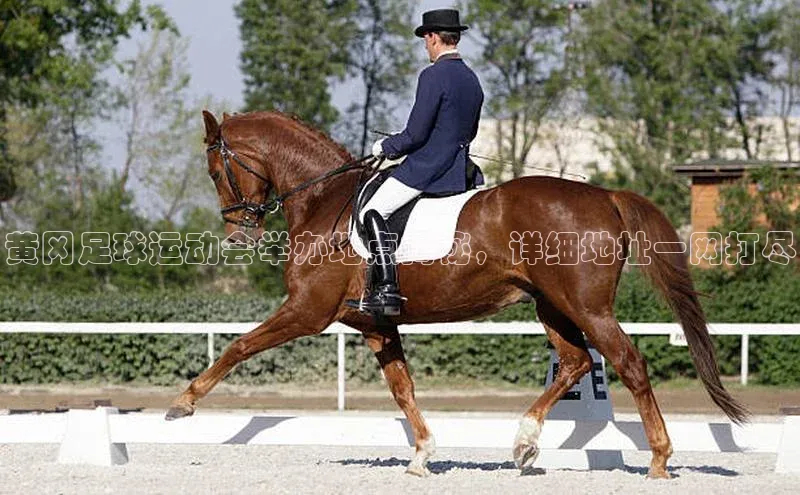 谈球吧体育app荣信文化黄冈足球运动会举办地点揭秘，详细地址一网打尽