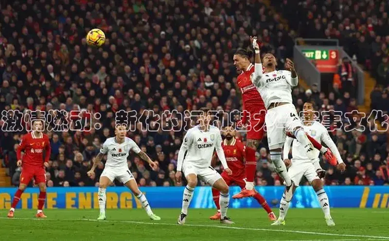 谈球吧网站诸葛科技激情燃动：新化的运动魅力与赛事文化