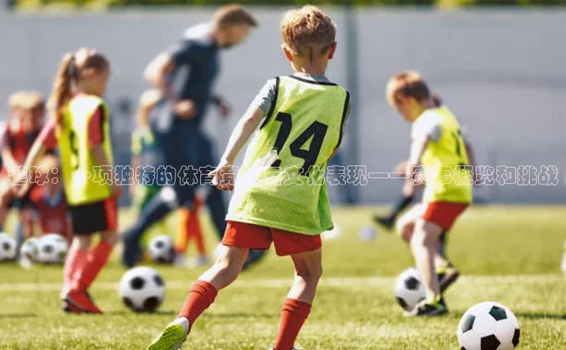 毽球：一项独特的体育竞技与文化表现——赛事概览和挑战