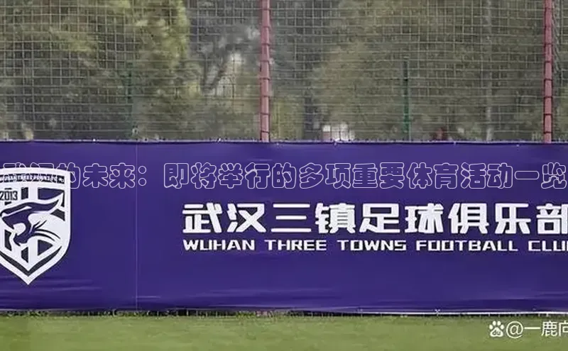 武汉的未来：即将举行的多项重要体育活动一览