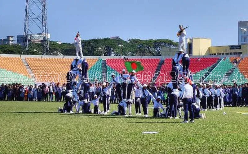 搏击上肢力量：一场国际上的力量与速度的竞技