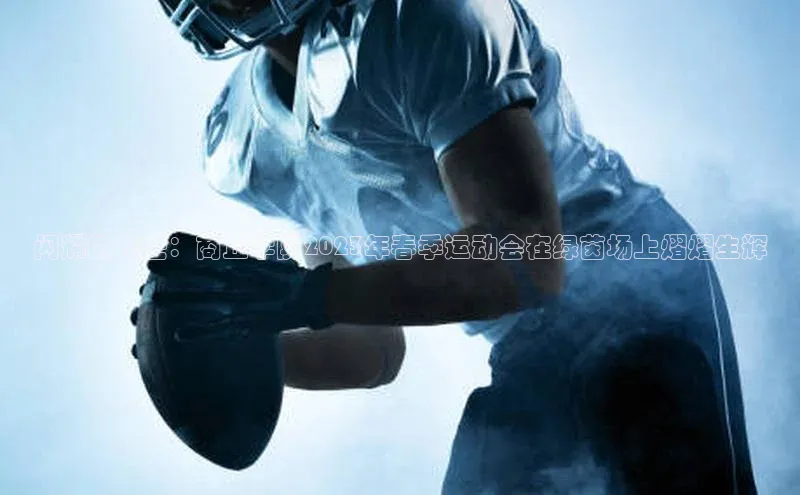 闪耀的光芒：商丘学院2023年春季运动会在绿茵场上熠熠生辉