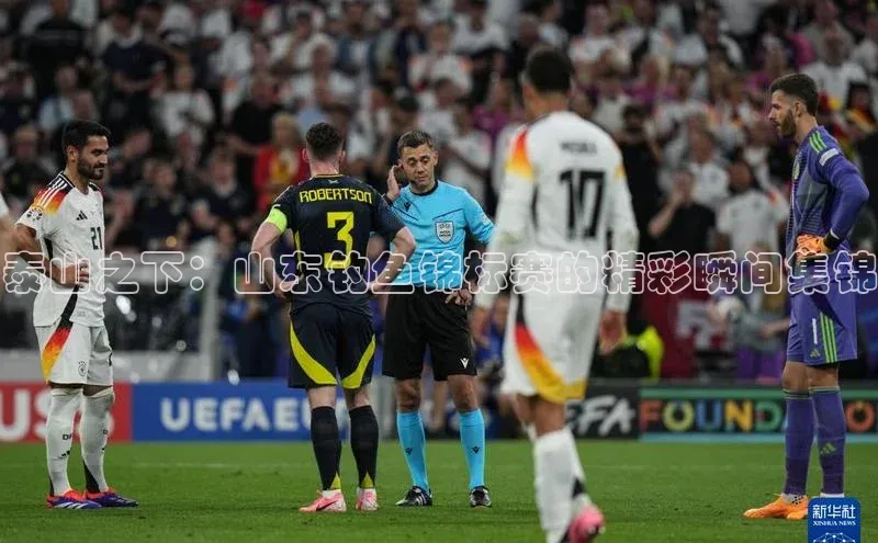 泰山之下：山东钓鱼锦标赛的精彩瞬间集锦